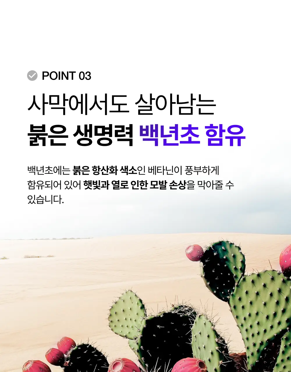 [100시간 지속] 프롬랩스 초고함량 단백질 흡착 부스터 파우더 2g*8ea 상세페이지 34